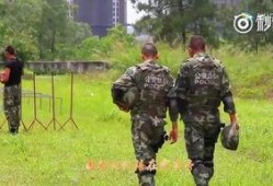 边疆行在线观看完整版,穿越国界，探寻神秘边疆的壮丽画卷