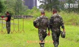 边疆行在线观看完整版,穿越国界，探寻神秘边疆的壮丽画卷