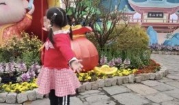 娱乐吃瓜酱无锡三岁女童