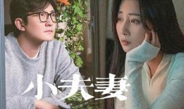 网红夫妻离婚爆料视频,视频揭露惊人真相