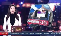 重大事件爆料视频播放,视频爆料背后的真相与影响