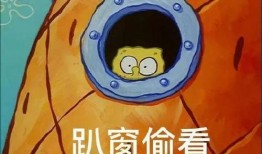 派大星娱乐爆料了吗,最新动态大揭秘