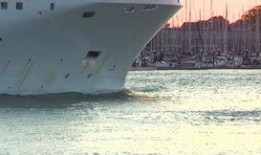 海鸥官方爆料视频下载免费,免费下载新视频，带你领略科技魅力