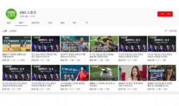 英媒爆料网友视频大全下载