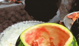 宁夏网红直播吃瓜,带你领略特色美食与网络魅力