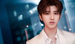 蔡徐坤王鹤棣爆料视频合集,揭秘娱乐圈幕后故事