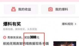 今日头条收到爆料怎么办,迅速响应调查中