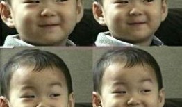 娱乐圈吃瓜事情真相,揭秘幕后真相，还原事件始末