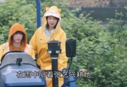 狗仔爆料杨紫张艺兴视频,甜蜜瞬间引网友热议