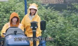 狗仔爆料杨紫张艺兴视频,甜蜜瞬间引网友热议