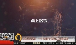 廉政视频在线观看,在线观看，共筑廉洁防线