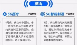 今日佛山爆料消息查询电话,电话事件引发关注，详情揭秘