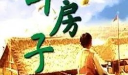 电影草房子在线观看,重温那段纯真岁月