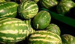 湖州网红吃瓜事件,揭秘网络舆论的风暴与真相