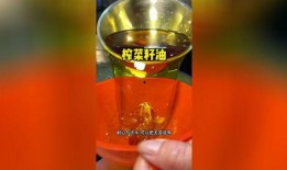 爆料榨菜籽油热点视频,热点视频背后的真相与争议