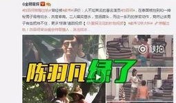台湾森哥爆料完整视频,完整视频内容深度解析