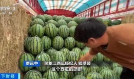 吃瓜最新爆料一区二区,一区二区风云再起，揭秘背后惊人真相！