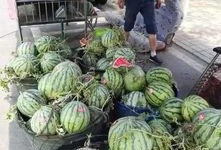 湖州网红吃瓜事件,揭秘网络舆论的风暴与真相