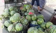 湖州网红吃瓜事件,揭秘网络舆论的风暴与真相