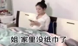 姐姐的秘密在线观看,一场家庭情感的深度探索之旅