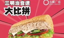 日本爆料三明治视频下载,下载背后的真相与争议