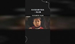 天才在左疯子在右在线观看,揭秘“天才在左疯子在右”的在线观看之旅