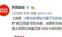 俄媒爆料辉瑞新闻视频,视频揭秘潜在风险与进展