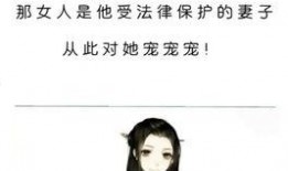 推文娱乐圈爆料的小说,揭秘小说背后的真实故事