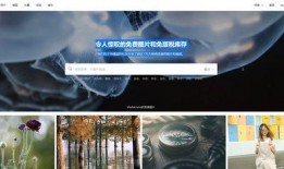 娱乐领域创作者爆料素材,独家爆料，幕后故事大公开