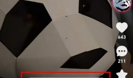 刘大锤爆料耍大牌视频,某明星耍大牌现场视频引发热议