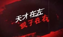 天才在左疯子在右在线观看,揭秘“天才在左疯子在右”的在线观看之旅