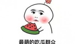 娱乐吃瓜酱被重视的感觉,从边缘到核心，揭秘网络舆论的神奇力量