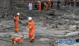 福溪电厂爆料事件视频,揭露真相与争议焦点