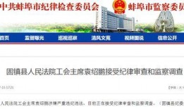 安徽蚌埠爆料新闻事件真相,还原事件背后真相