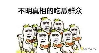 吃瓜群众看娱乐,吃瓜群众视角下的明星八卦