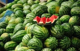 五一吃瓜网官方网站