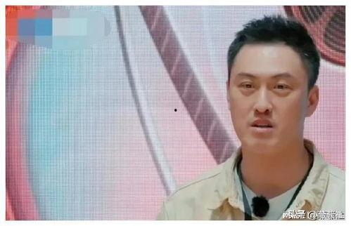 娱乐圈最火的吃瓜是谁啊,揭秘谁是吃瓜群众的焦点人物